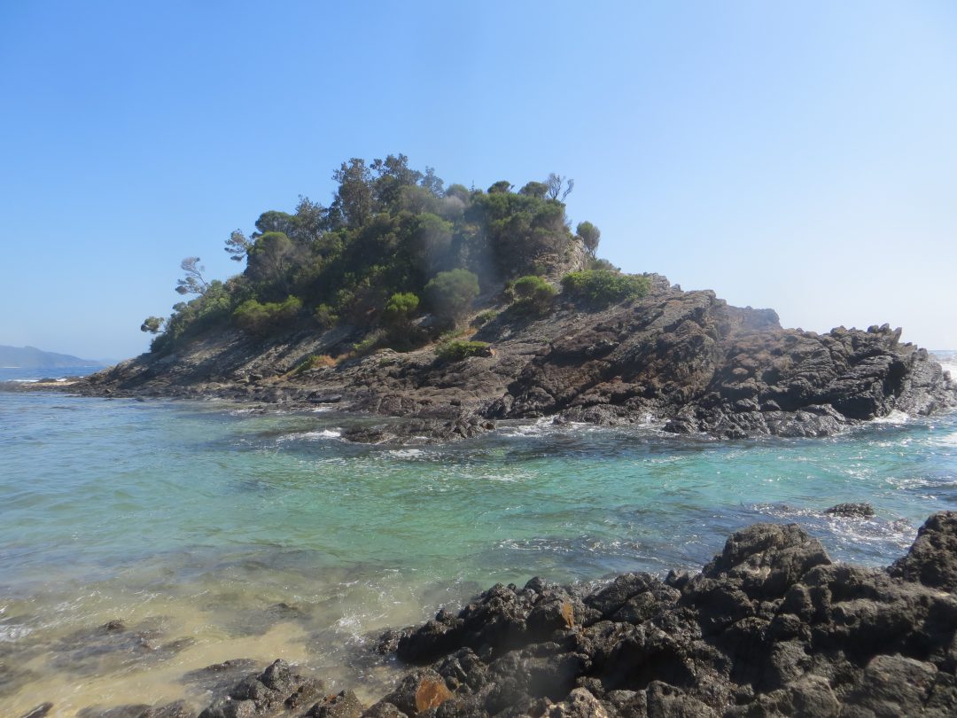 Seal Rocks Australia World Trip Berlin