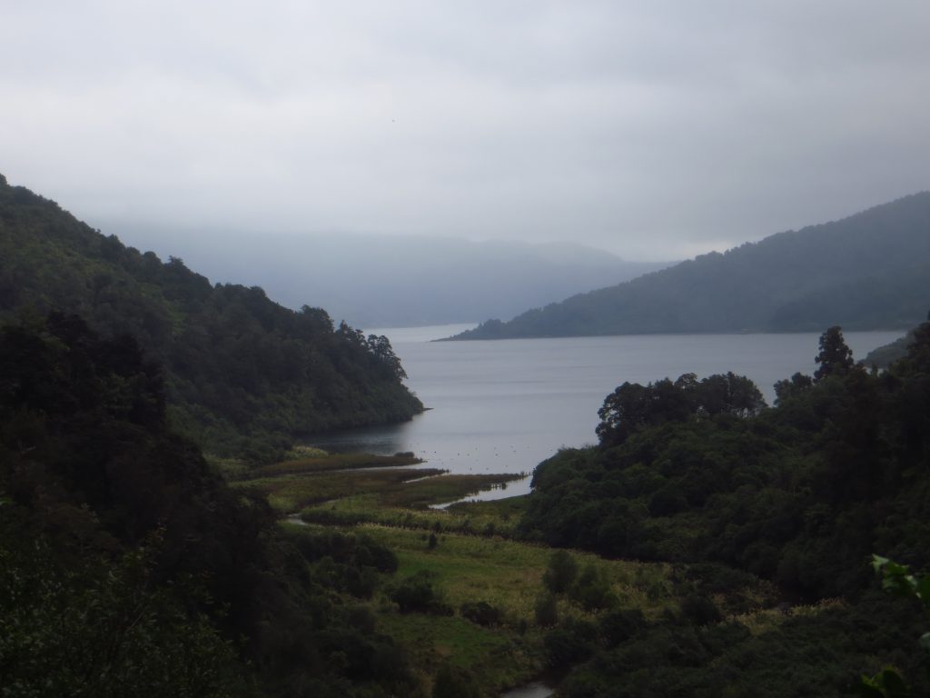 Te Urewera National Park World Trip Berlin