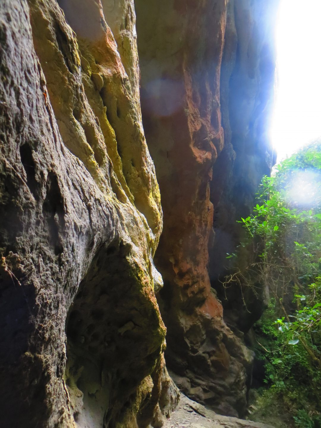 Te Urewera National Park World Trip Berlin