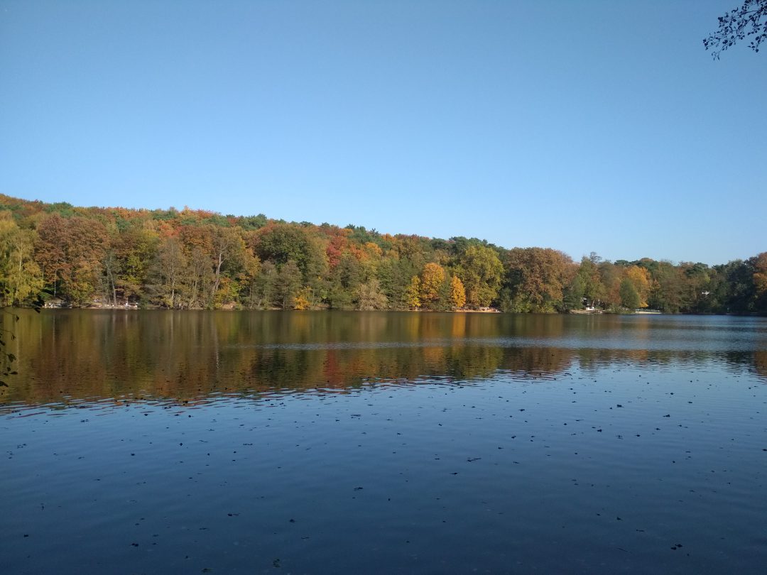 Schlachtensee lake – World Trip Berlin